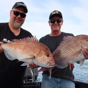 black-pearl-fishing-charters-snapper-2